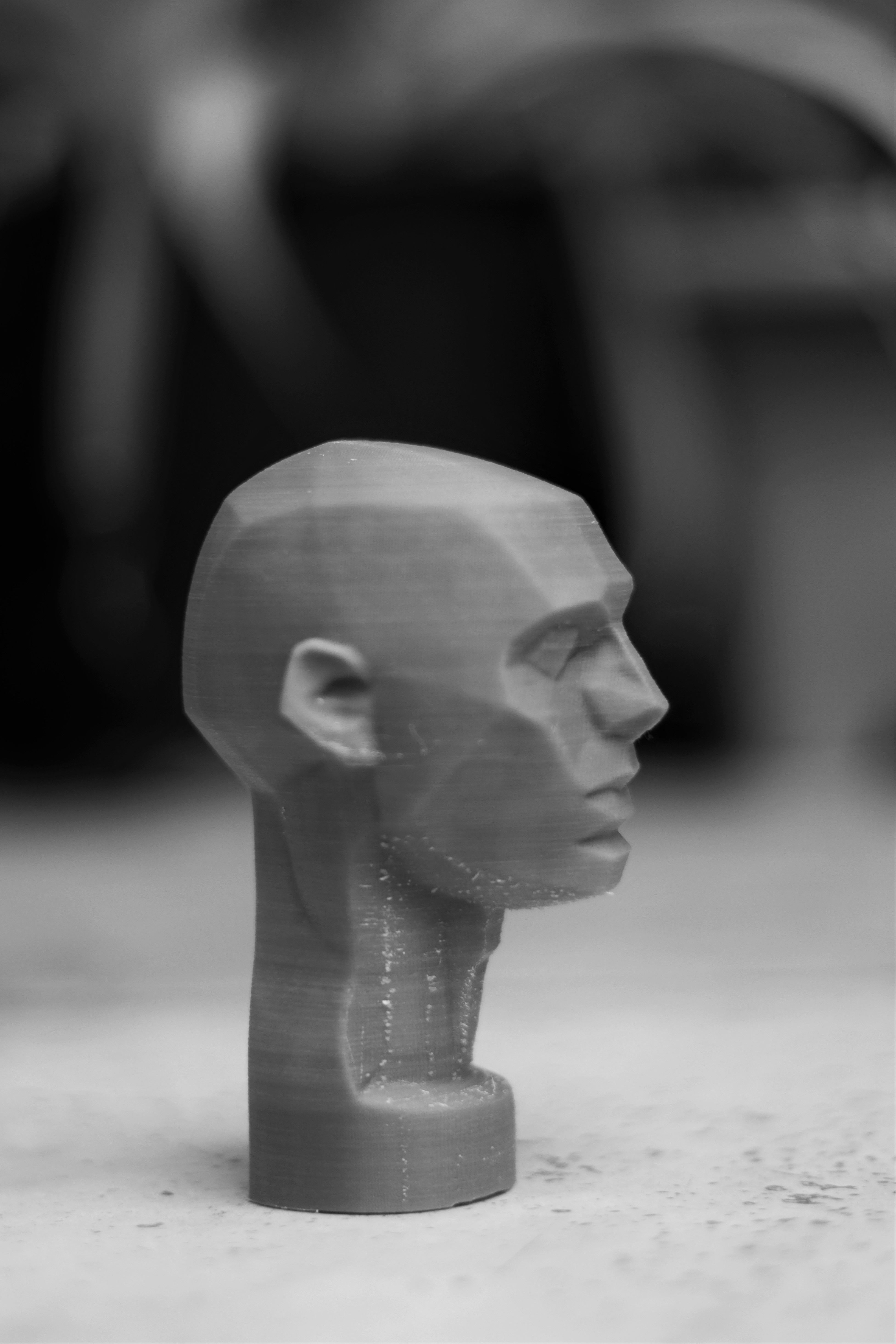 Planes of the Head - John Asaro 3D model_13