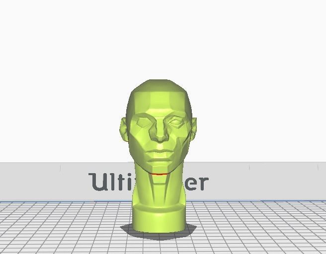 Planes of the Head - John Asaro 3D model_8