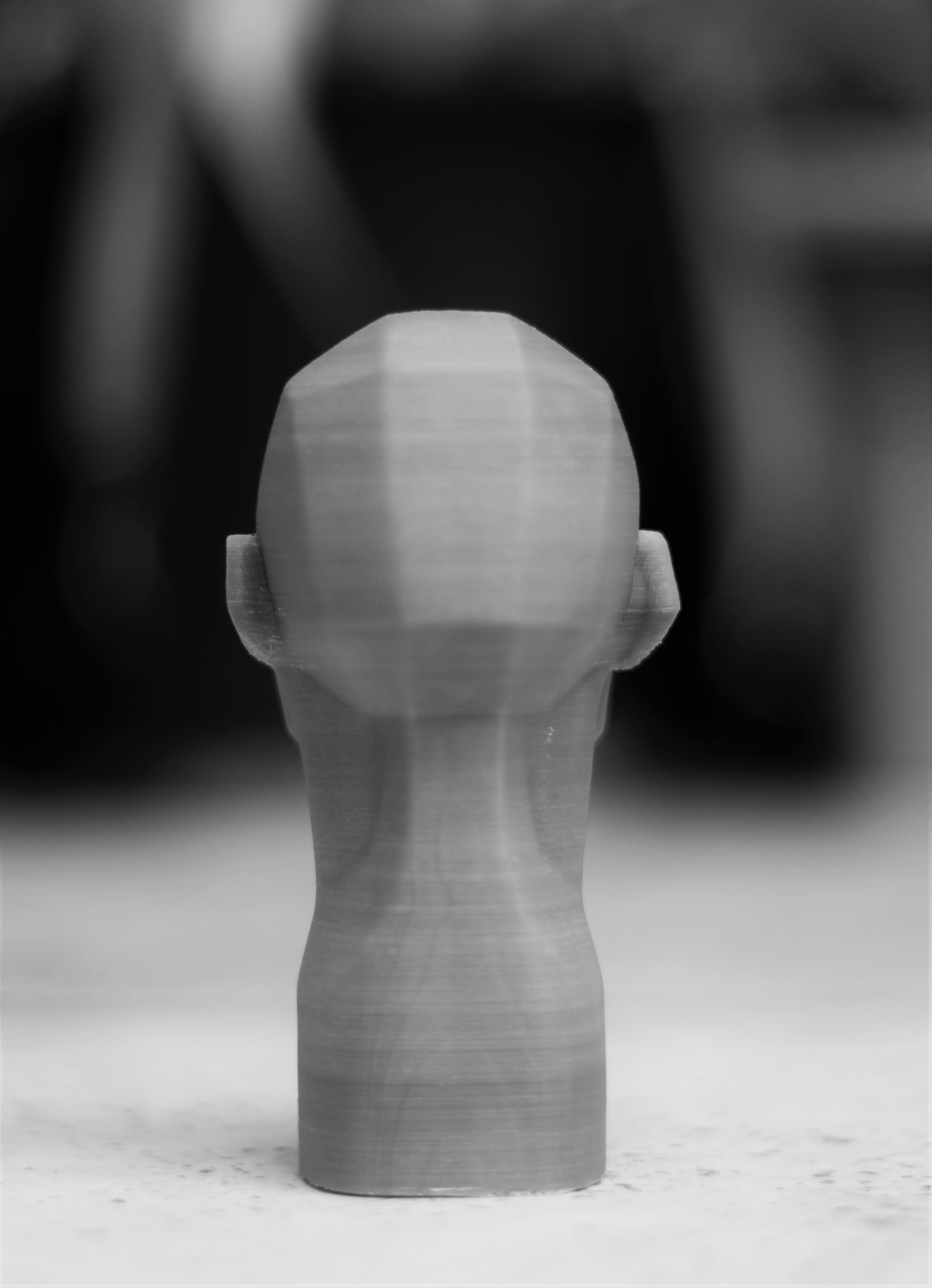 Planes of the Head - John Asaro 3D model_11