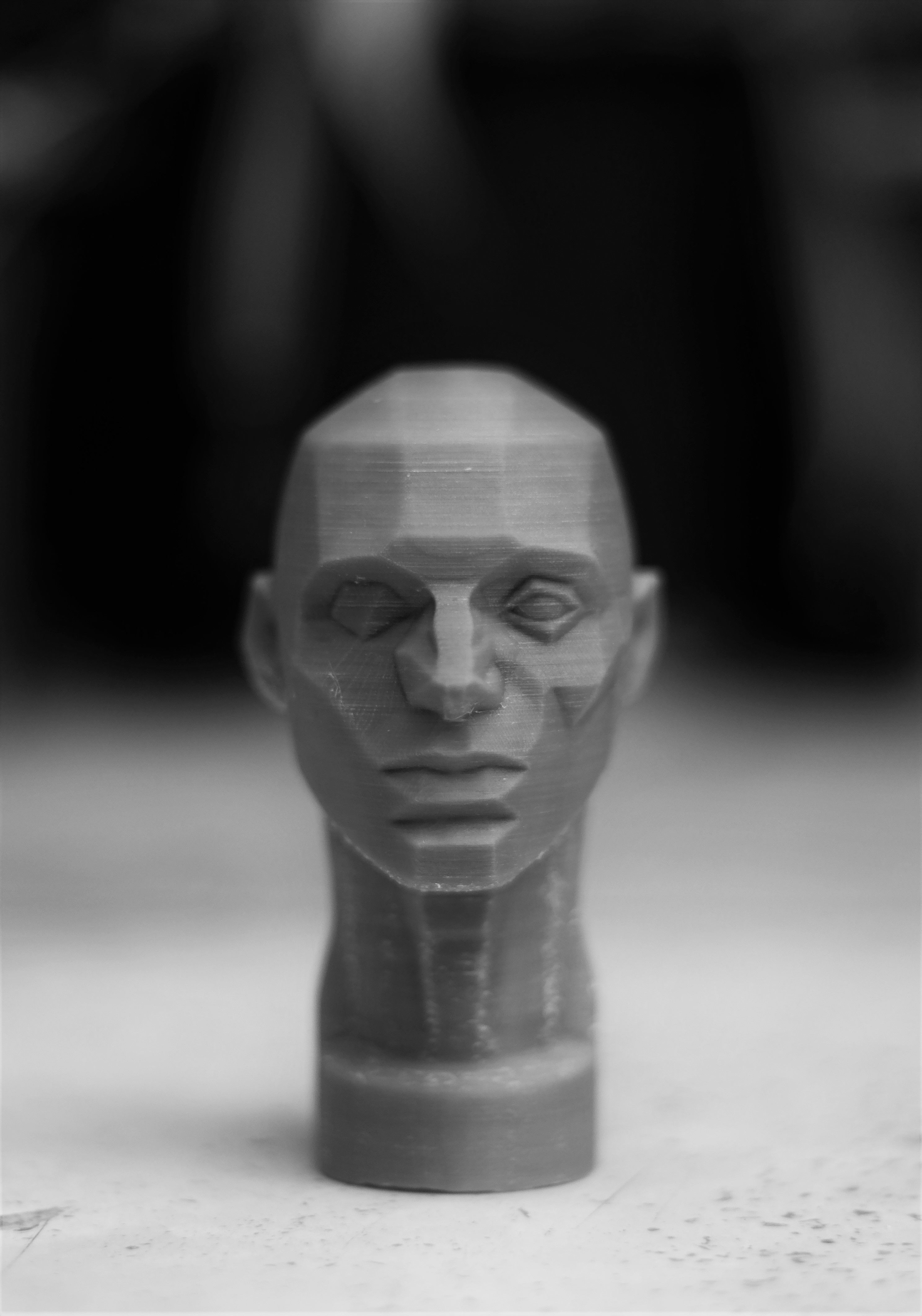 Planes of the Head - John Asaro 3D model_12