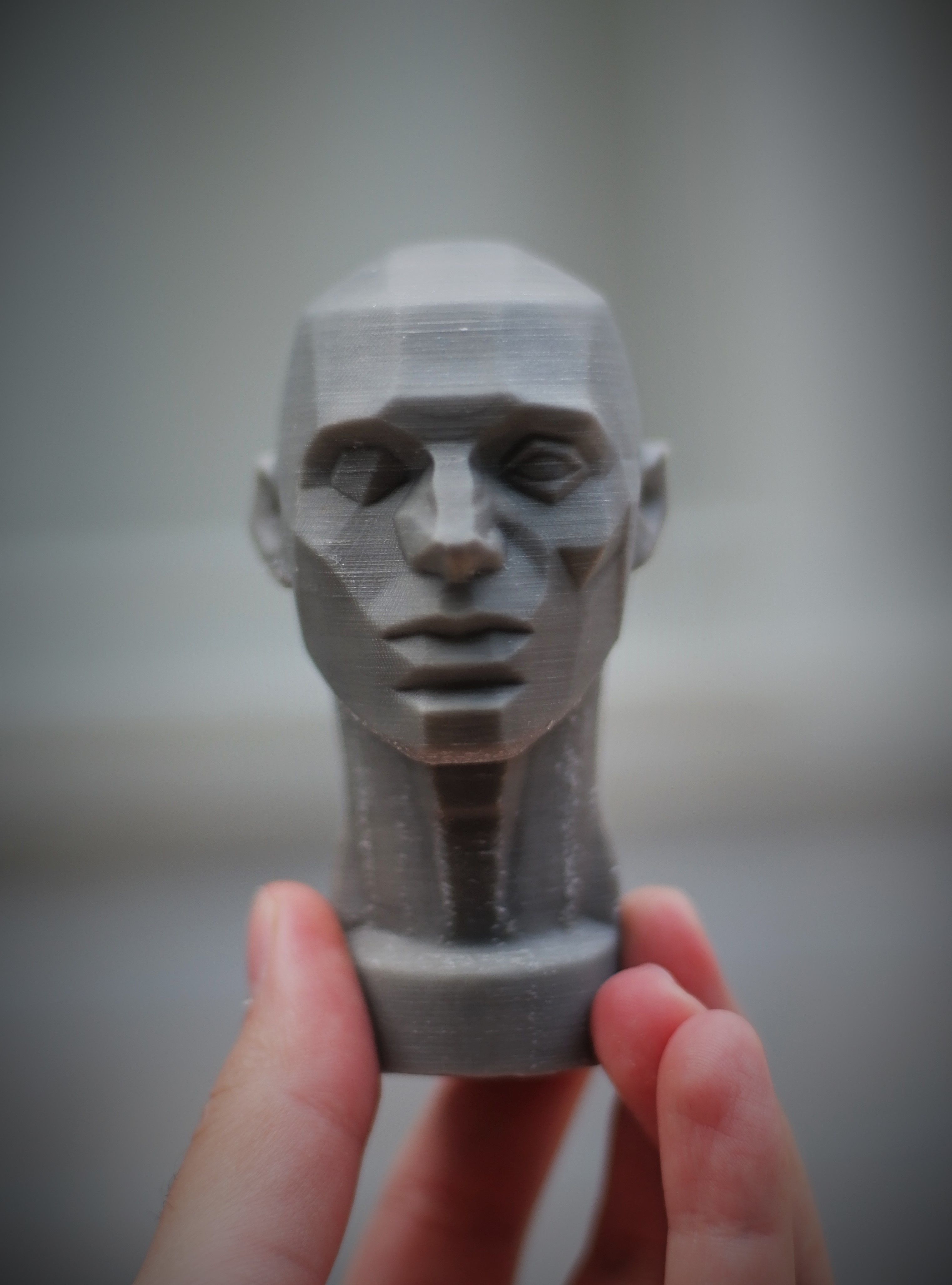 Planes of the Head - John Asaro 3D model_9