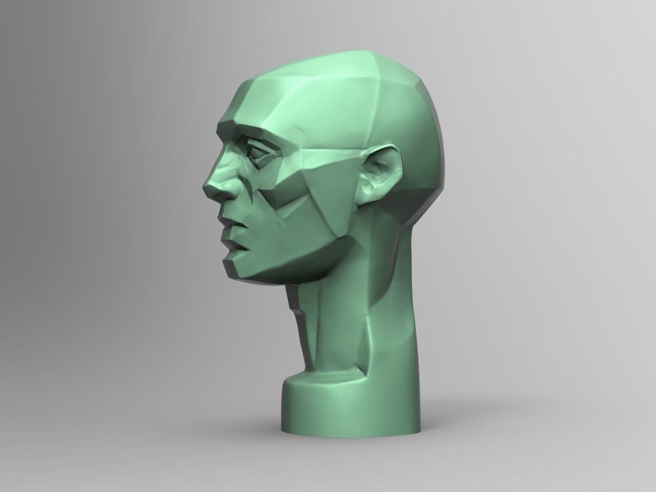 Planes of the Head - John Asaro 3D model_7