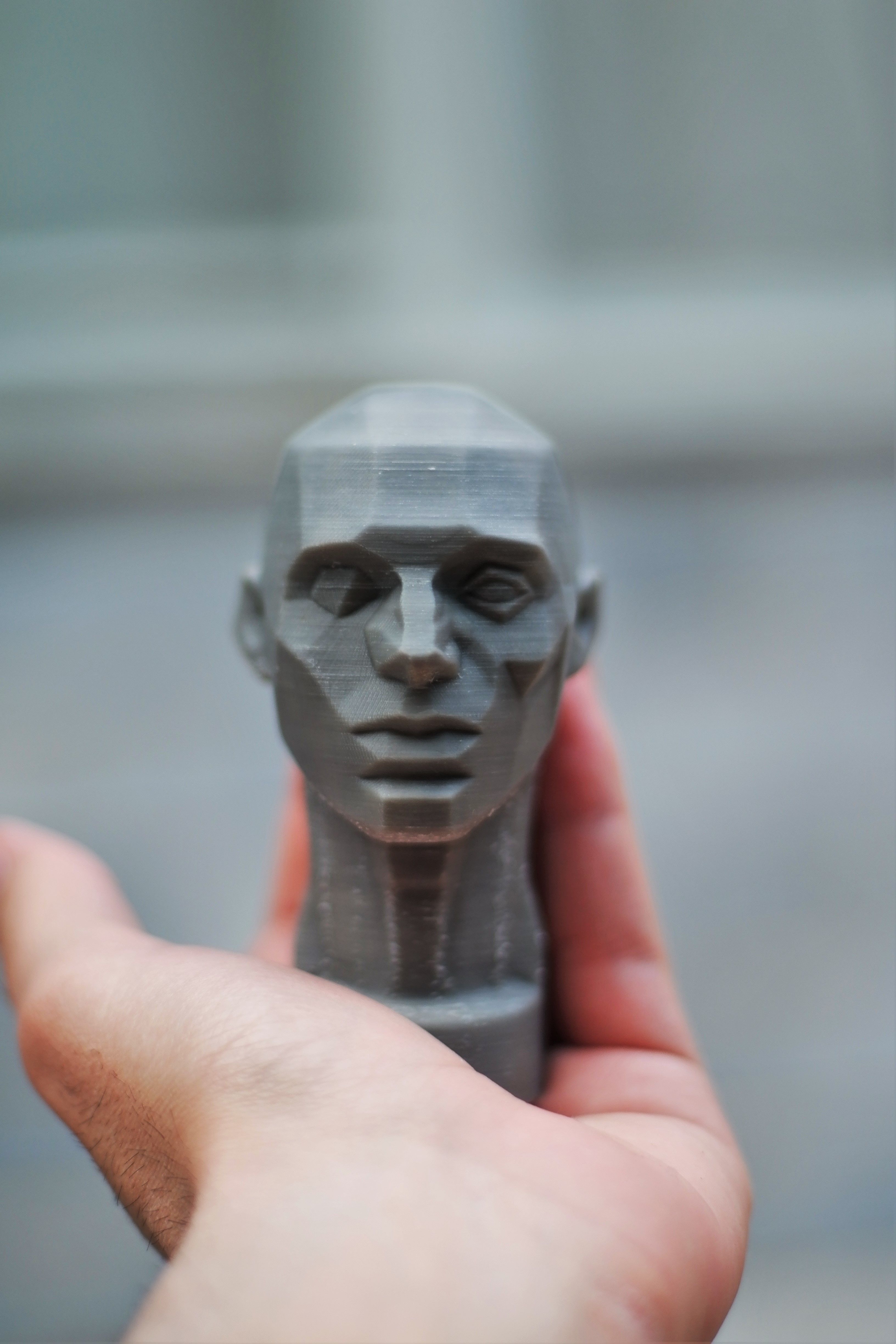 Planes of the Head - John Asaro 3D model_2