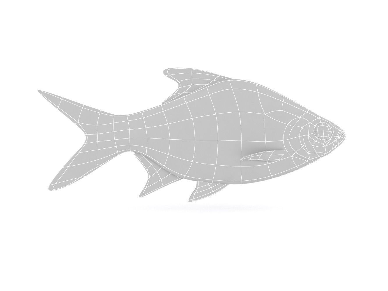 Tinfoil Barb Fish 3D model_5