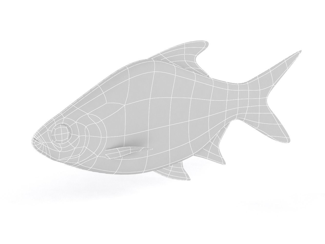 Tinfoil Barb Fish 3D model_6