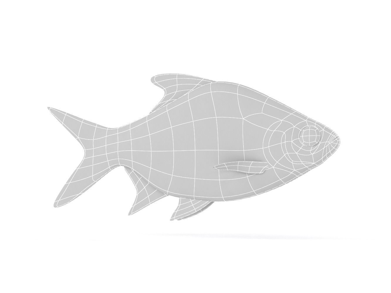 Tinfoil Barb Fish 3D model_4
