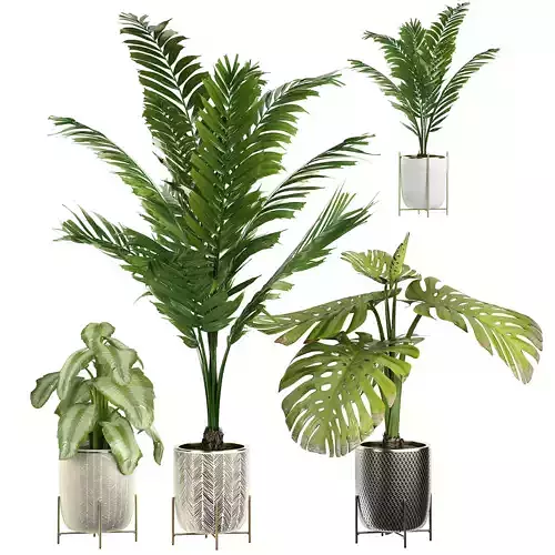 Flower Pack 4 3D model