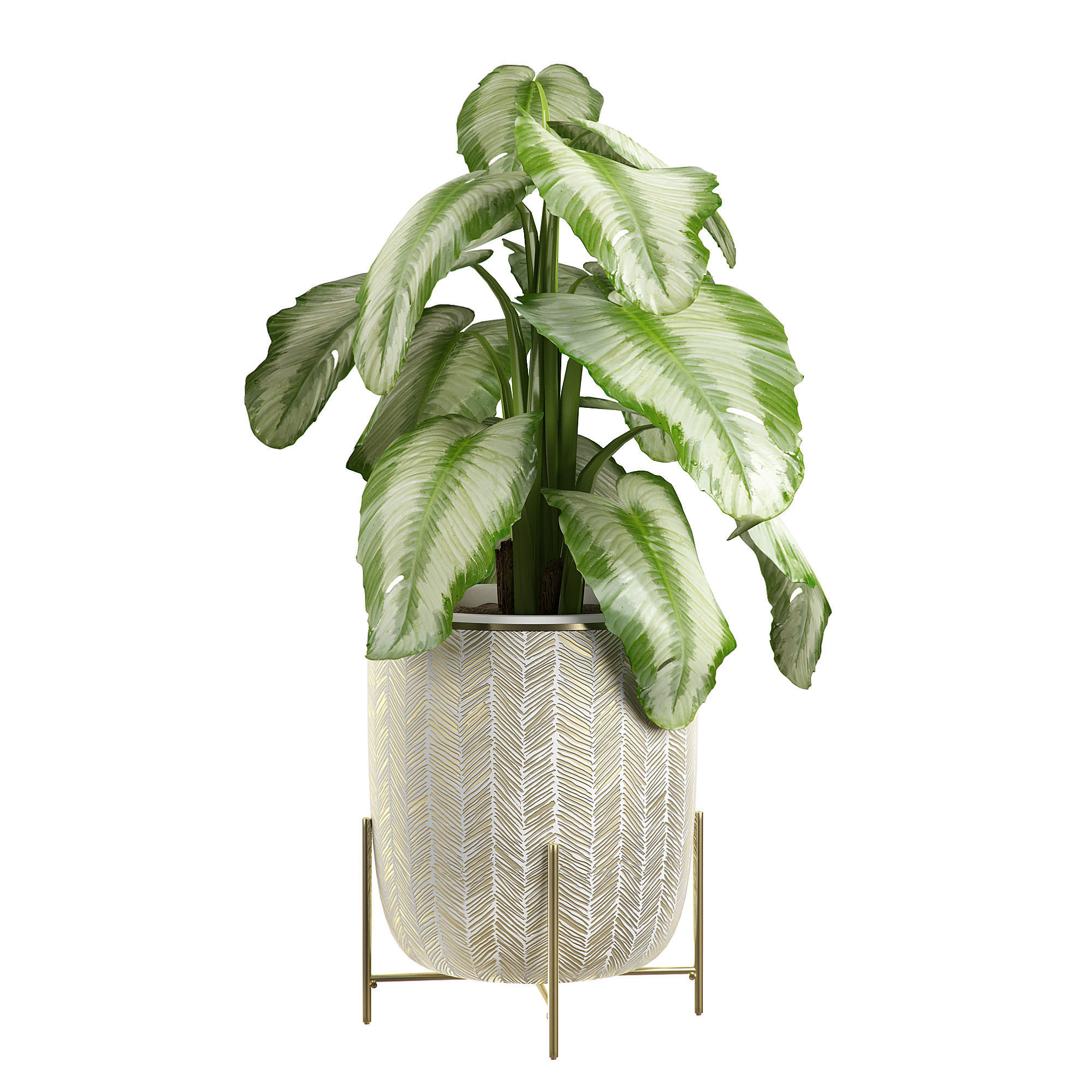 Flower Pack 4 3D model_3