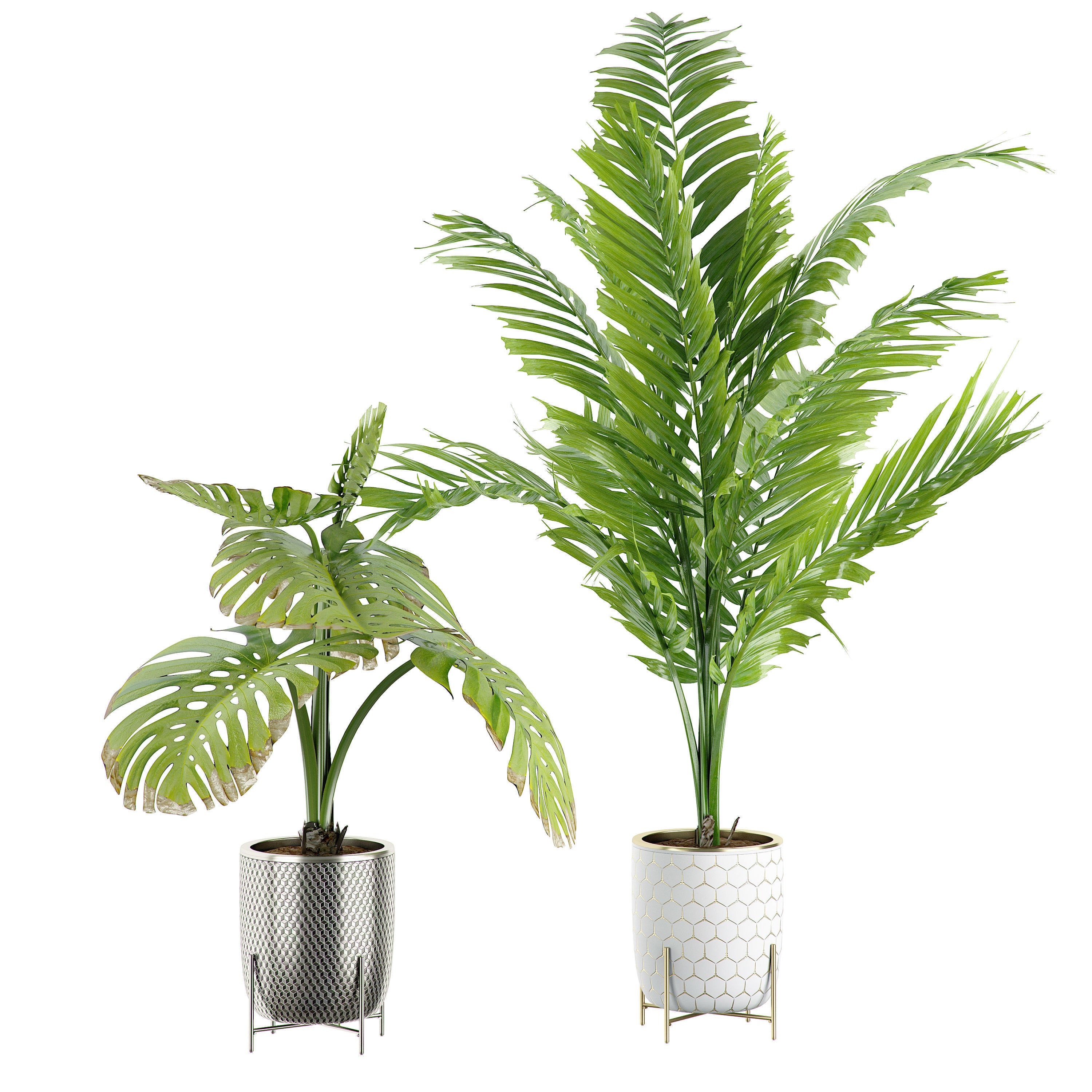 Flower Pack 4 3D model_1