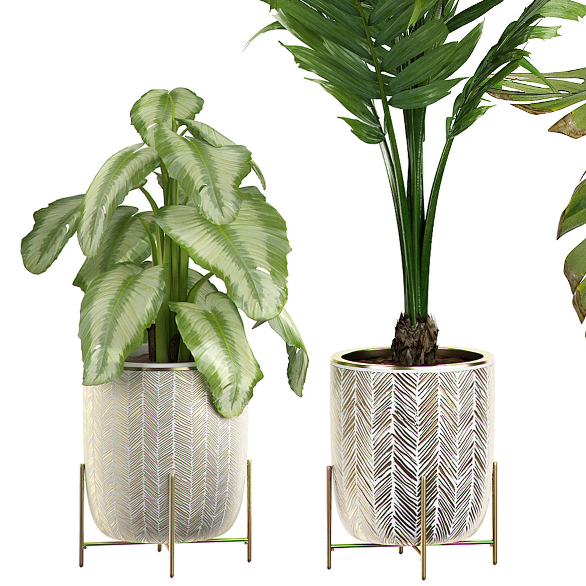 Flower Pack 4 3D model_2