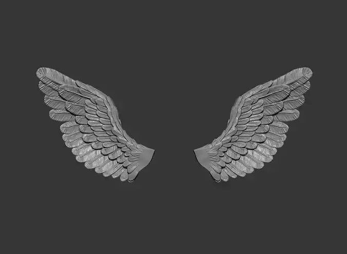 Sad angel wings 3D print model