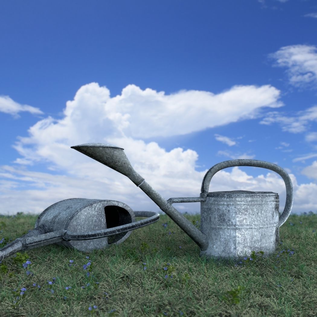 watering can Low-poly 3D model_1