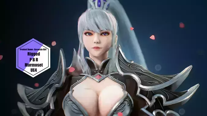 Assassin Girl  Low-poly 3D model