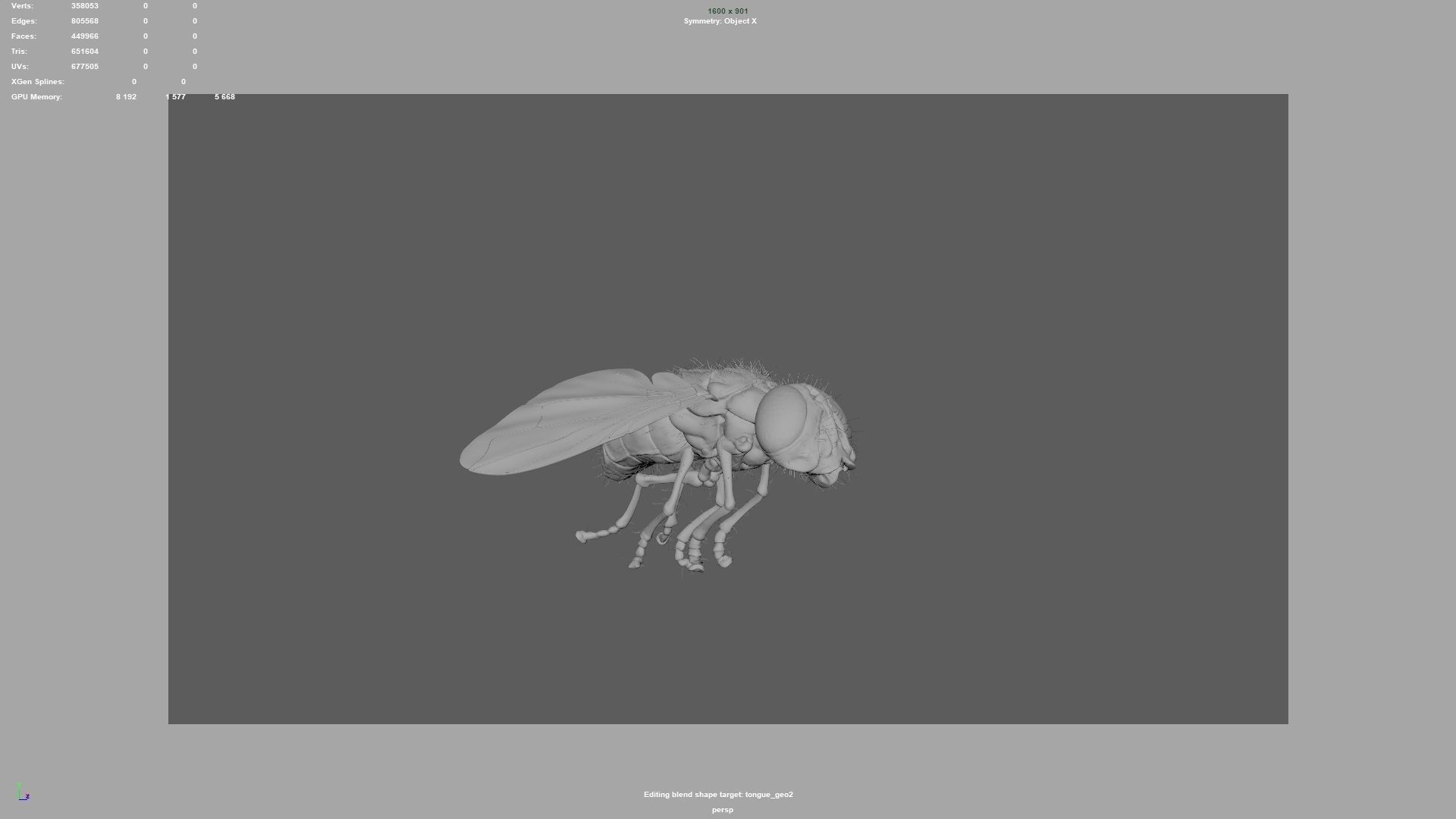 housefly fly 3D model_11