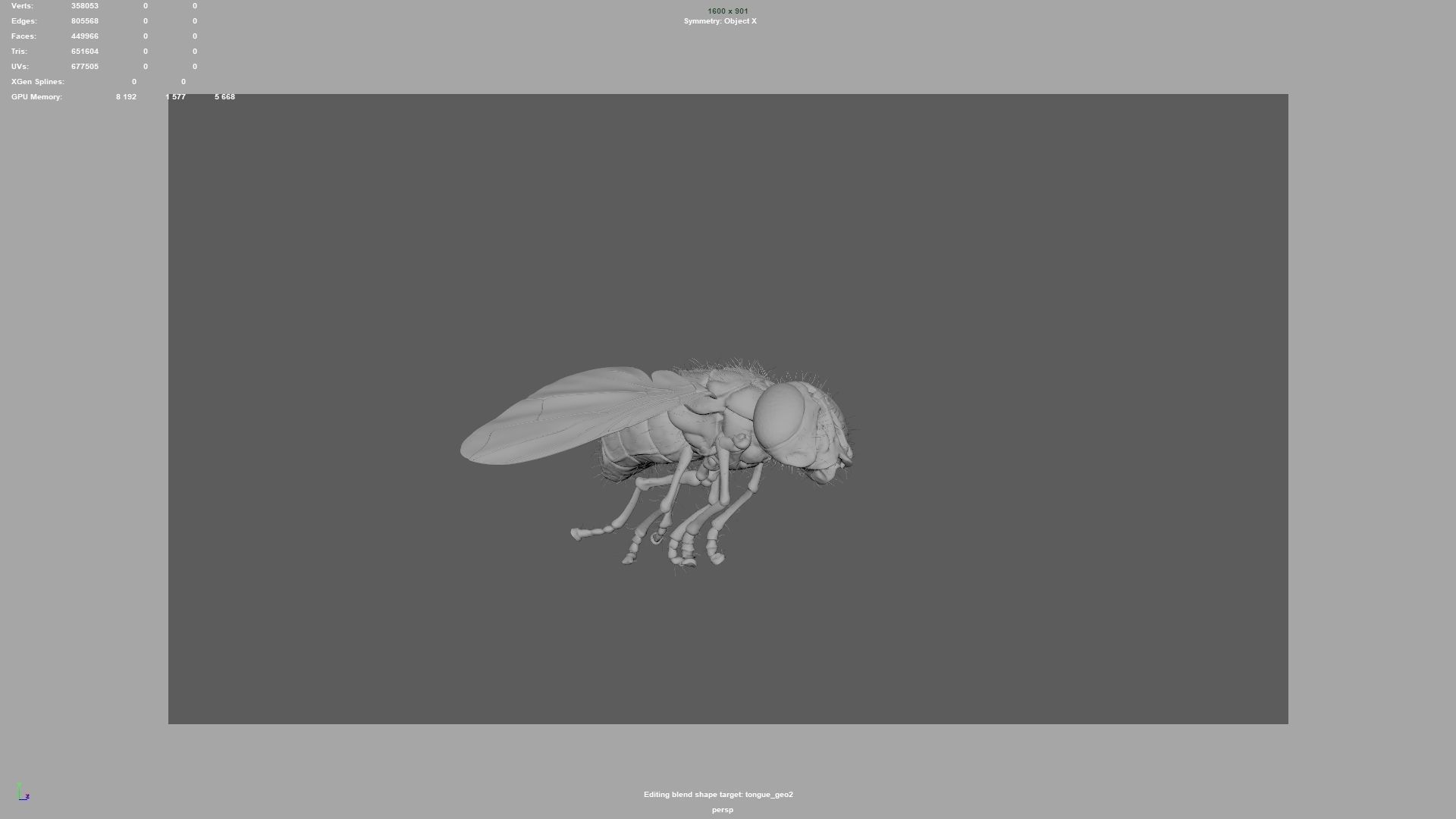 housefly fly 3D model_10