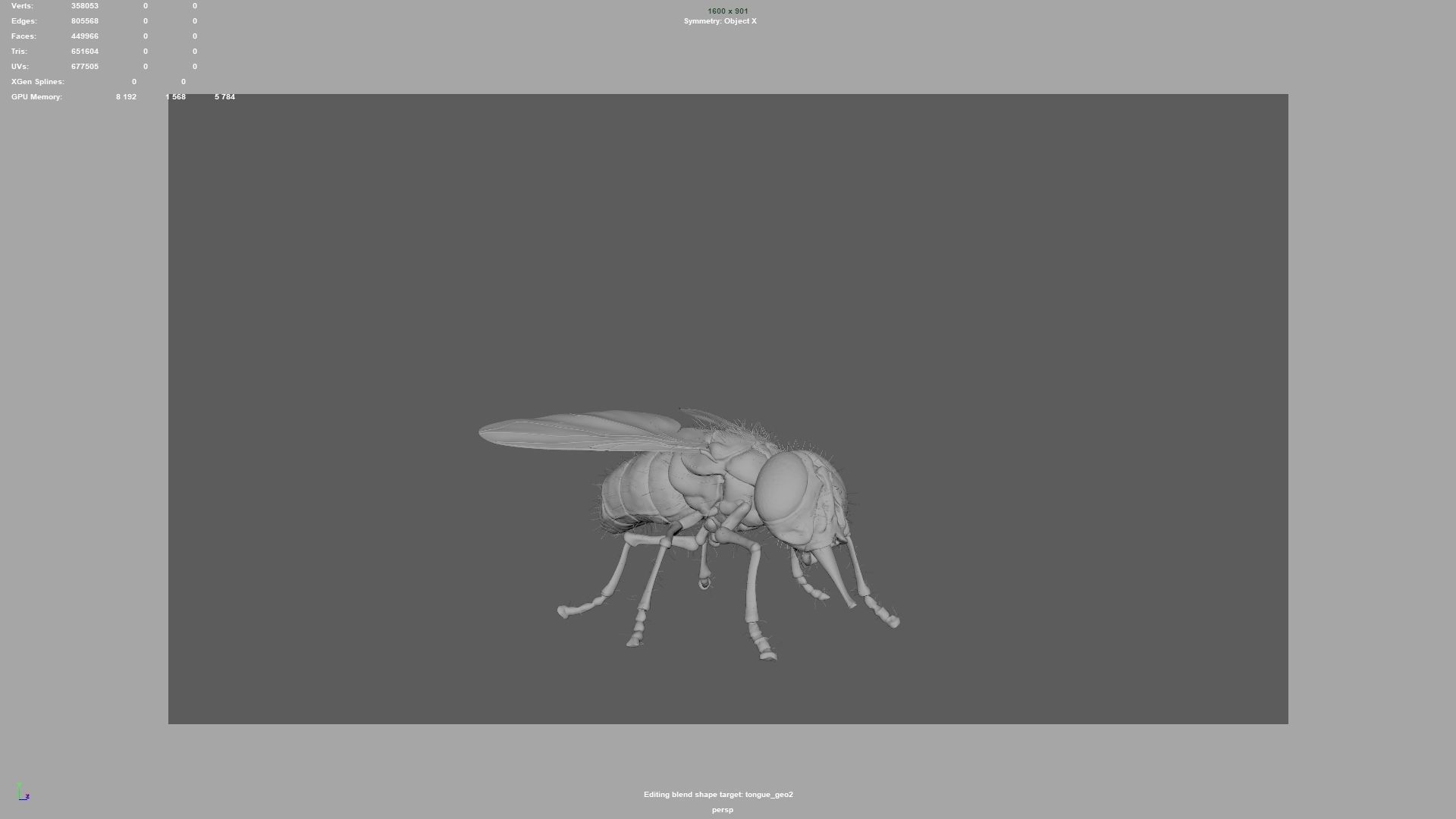 housefly fly 3D model_12