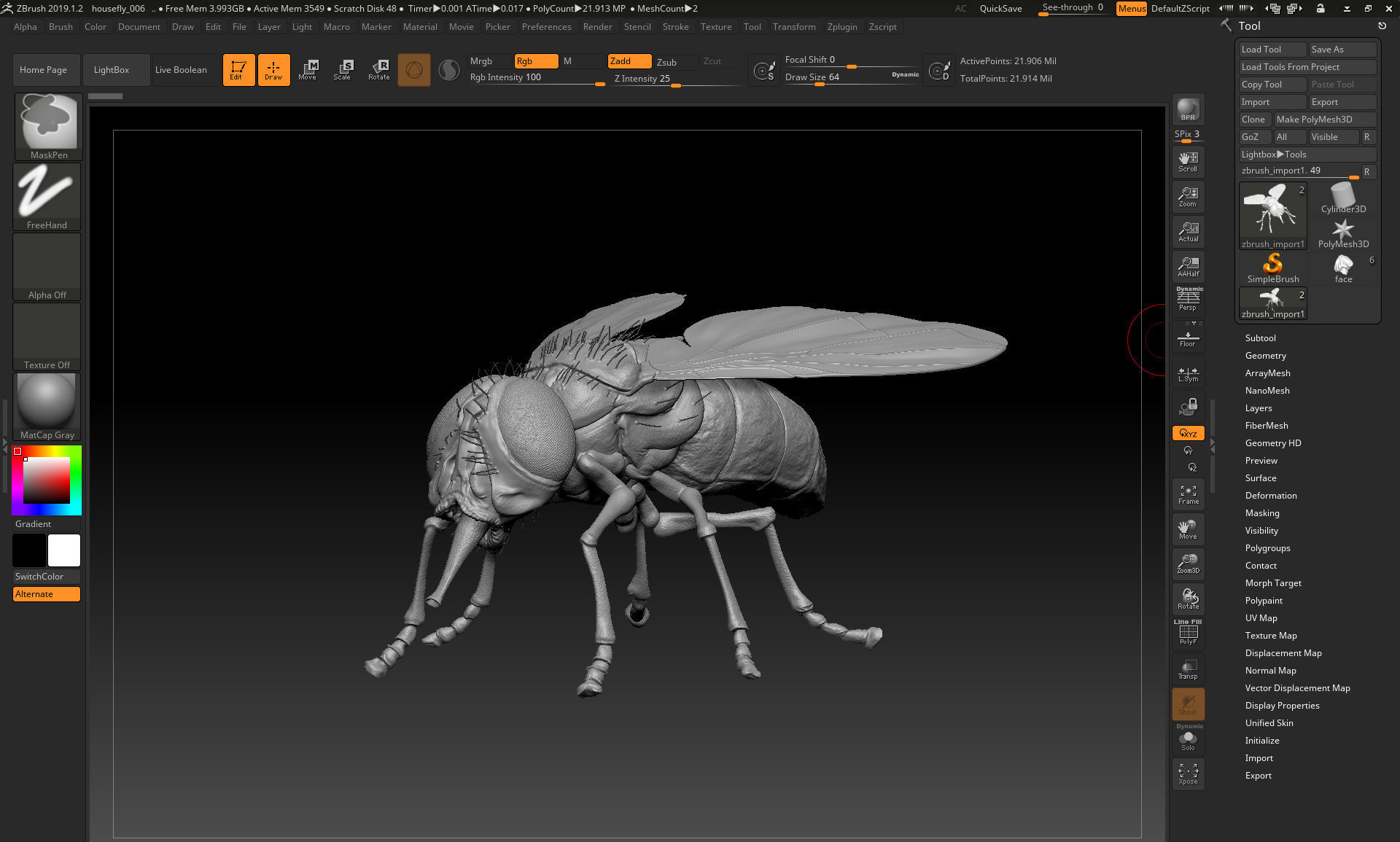 housefly fly 3D model_7