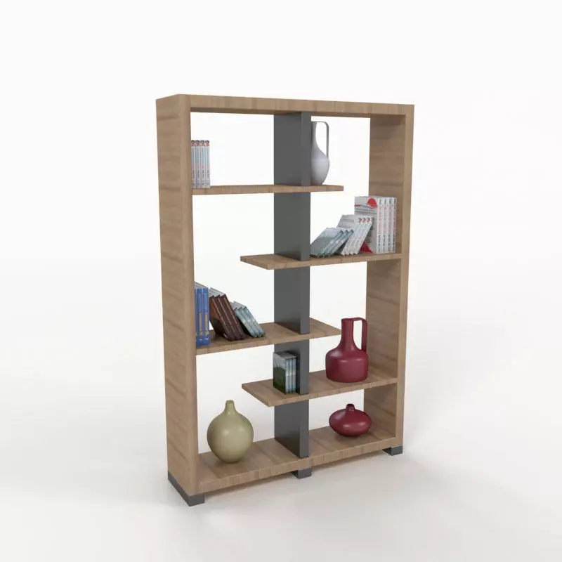 Bookshelf bookcase with shelves and vases 3D model_0