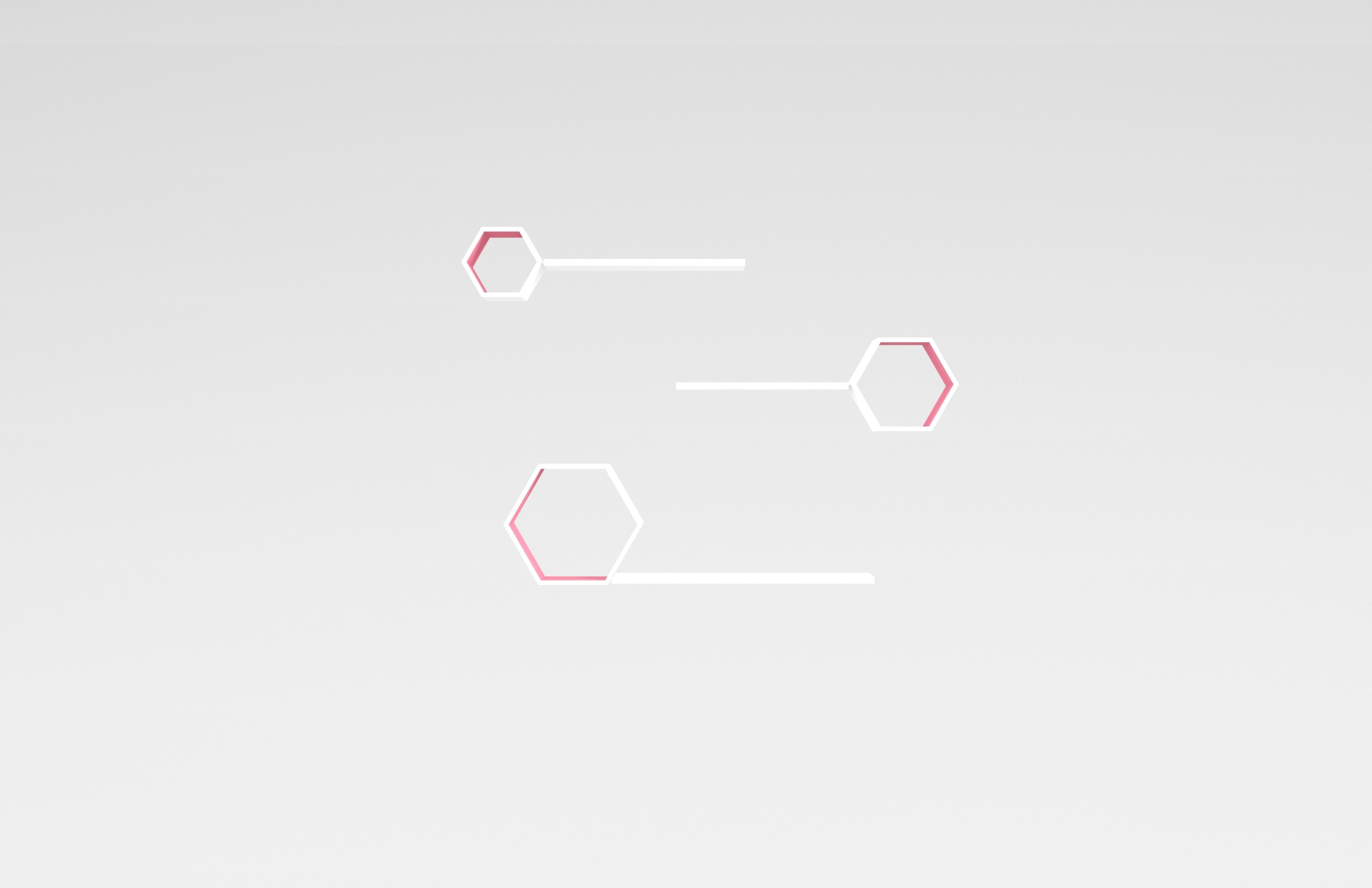 Wall Rack v1 009 Low-poly 3D model_2