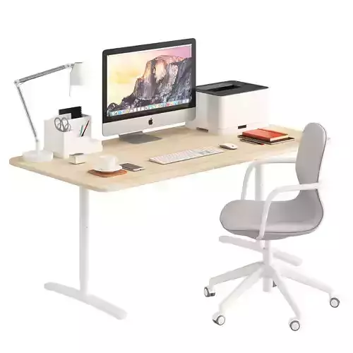 BEKANT desk and LNGFJLL Chair