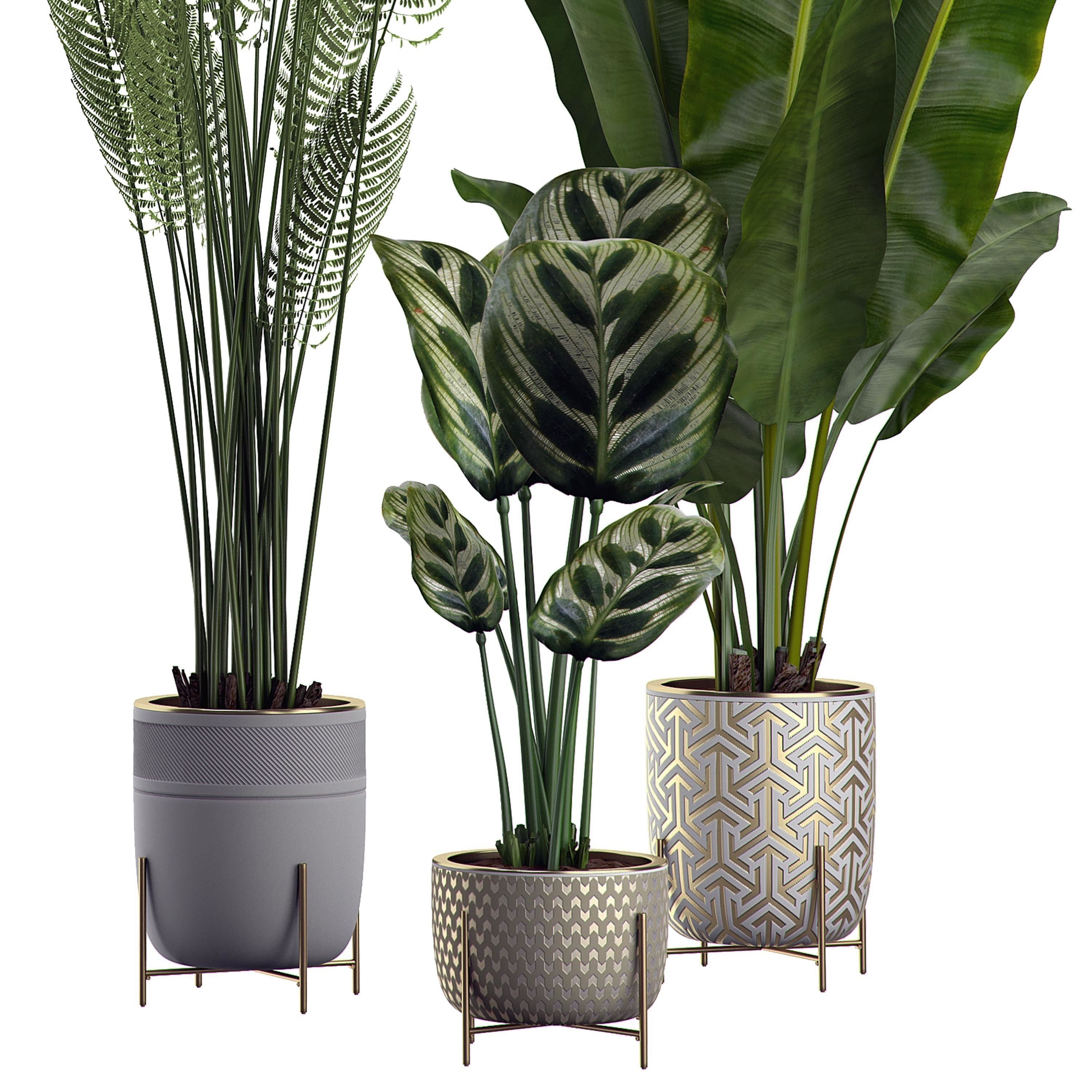 Flower Pack 2 3D model_2