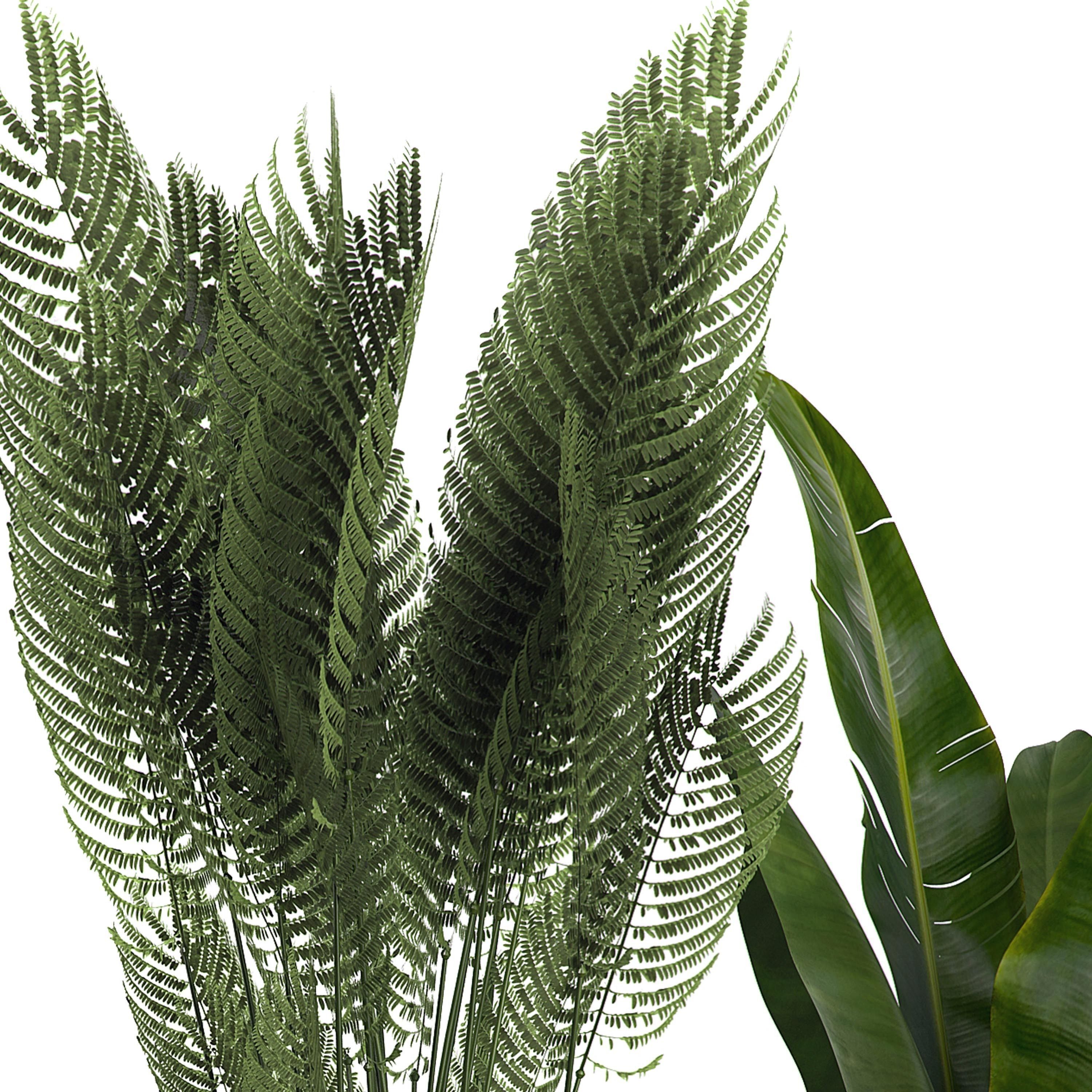 Flower Pack 2 3D model_3