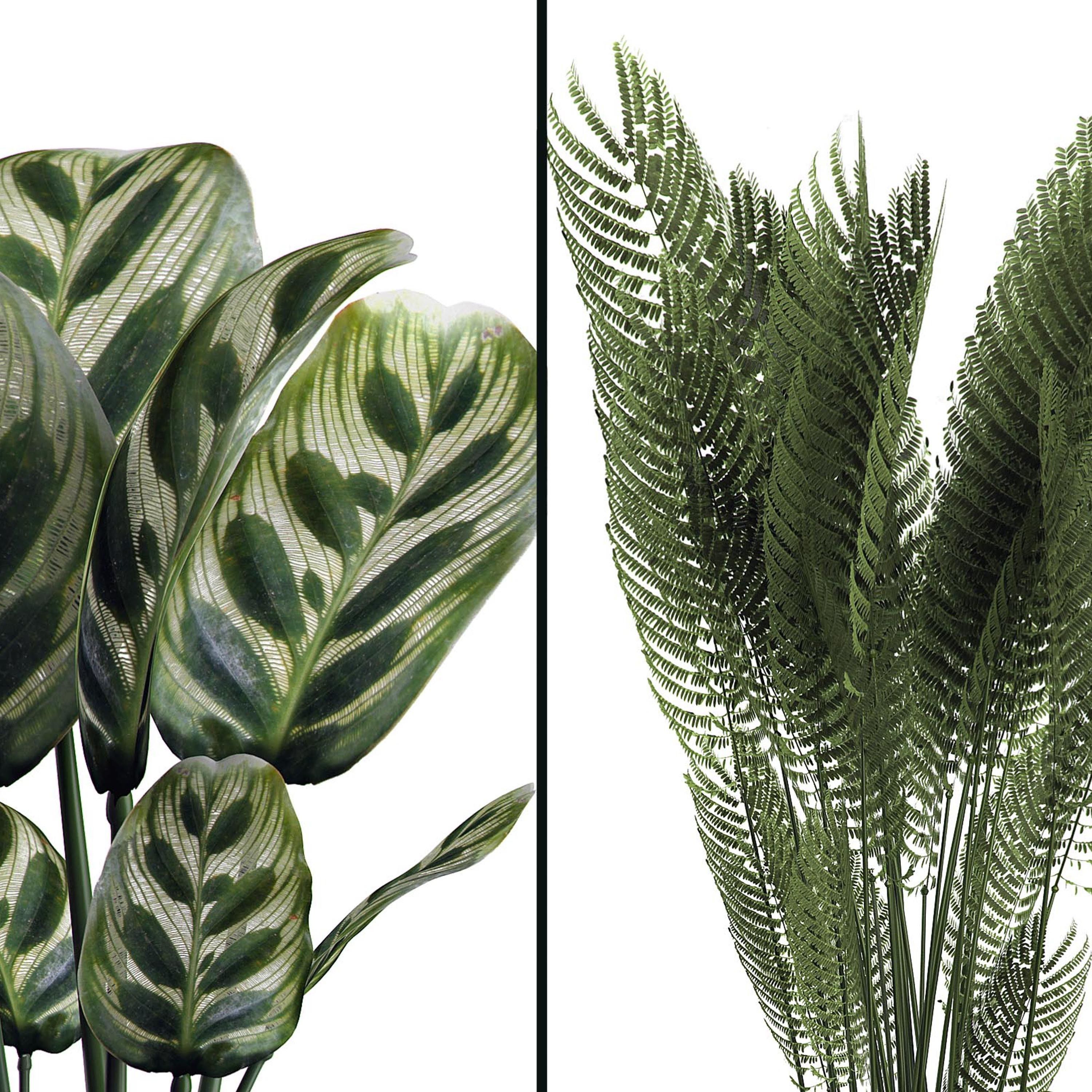 Flower Pack 2 3D model_4