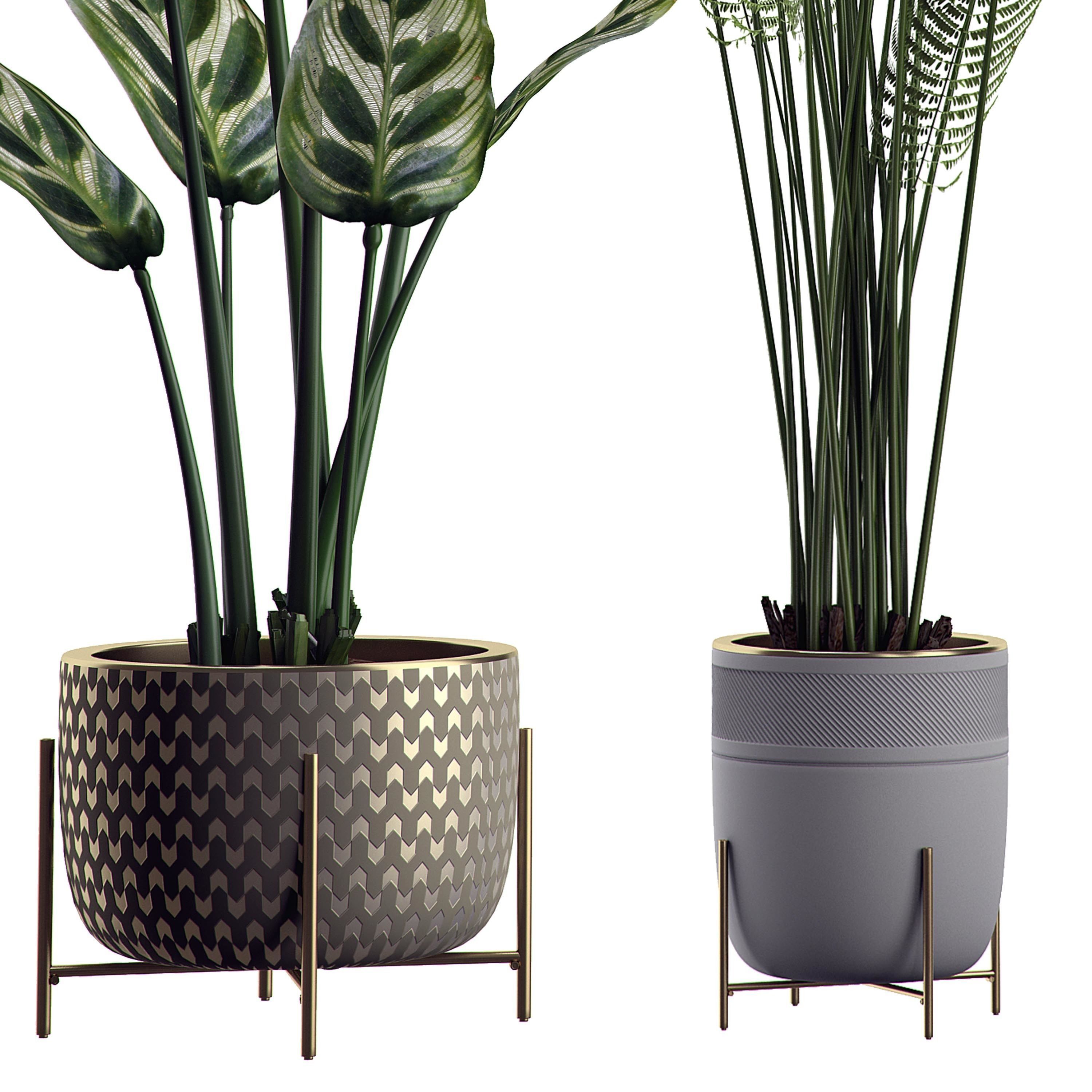 Flower Pack 2 3D model_1