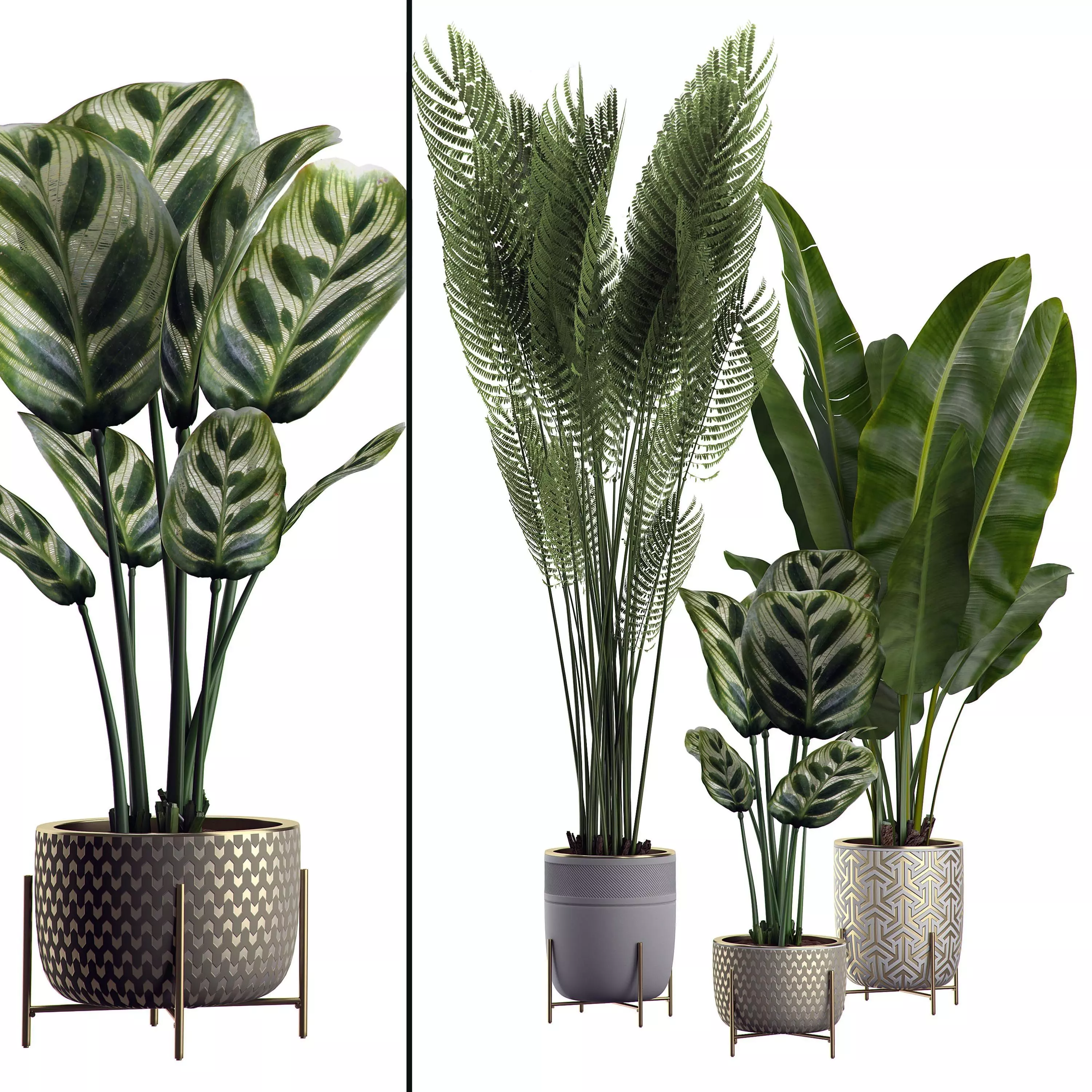 Flower Pack 2 3D model_0