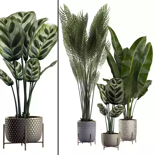 Flower Pack 2 3D model