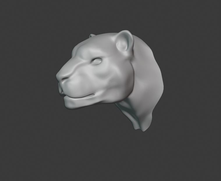  scene magic library 3D model_3