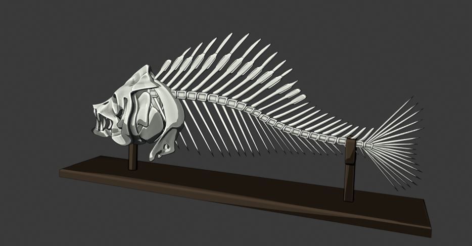  scene magic library 3D model_6