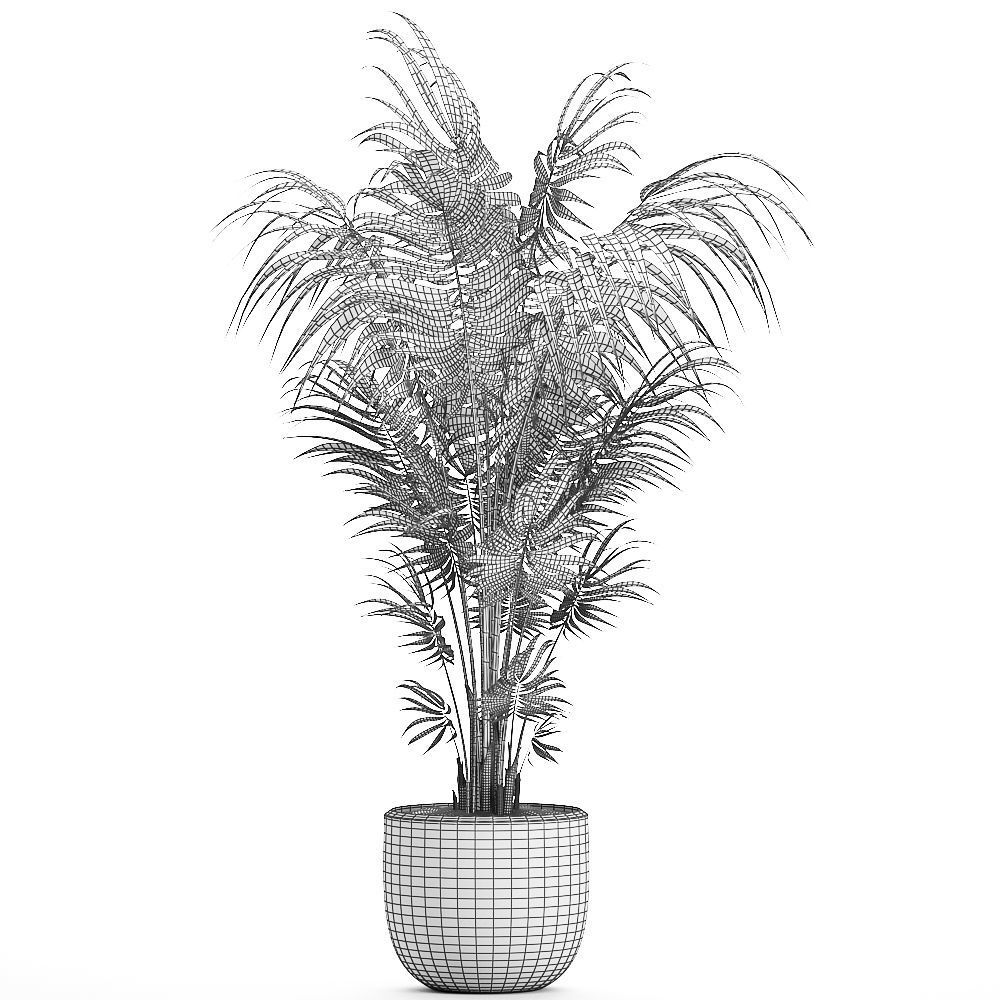 Decorative palm in a white flowerpot 518 3D model_6