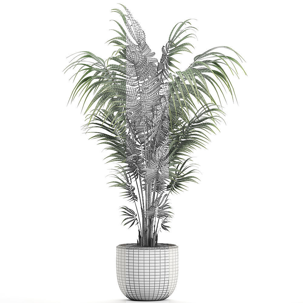 Decorative palm in a white flowerpot 518 3D model_4