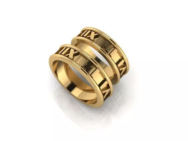 Weeding rings 66 3D print model