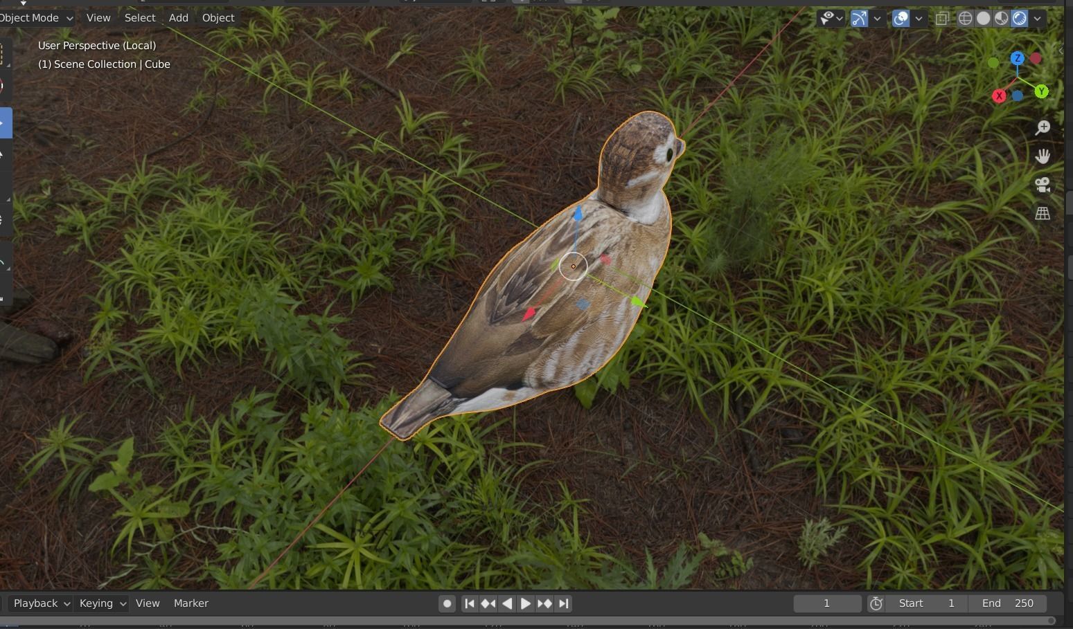 hunting duck Low-poly 3D model_6