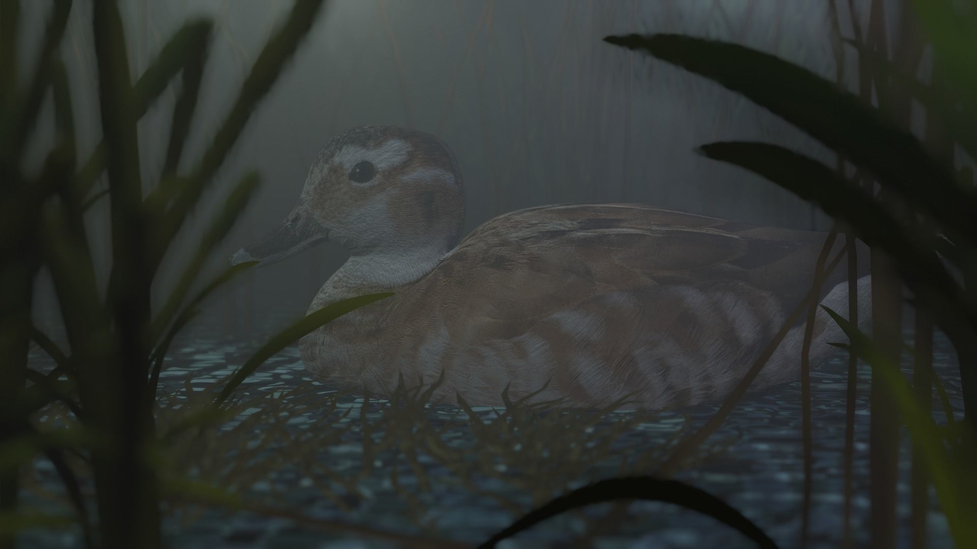 hunting duck Low-poly 3D model_12