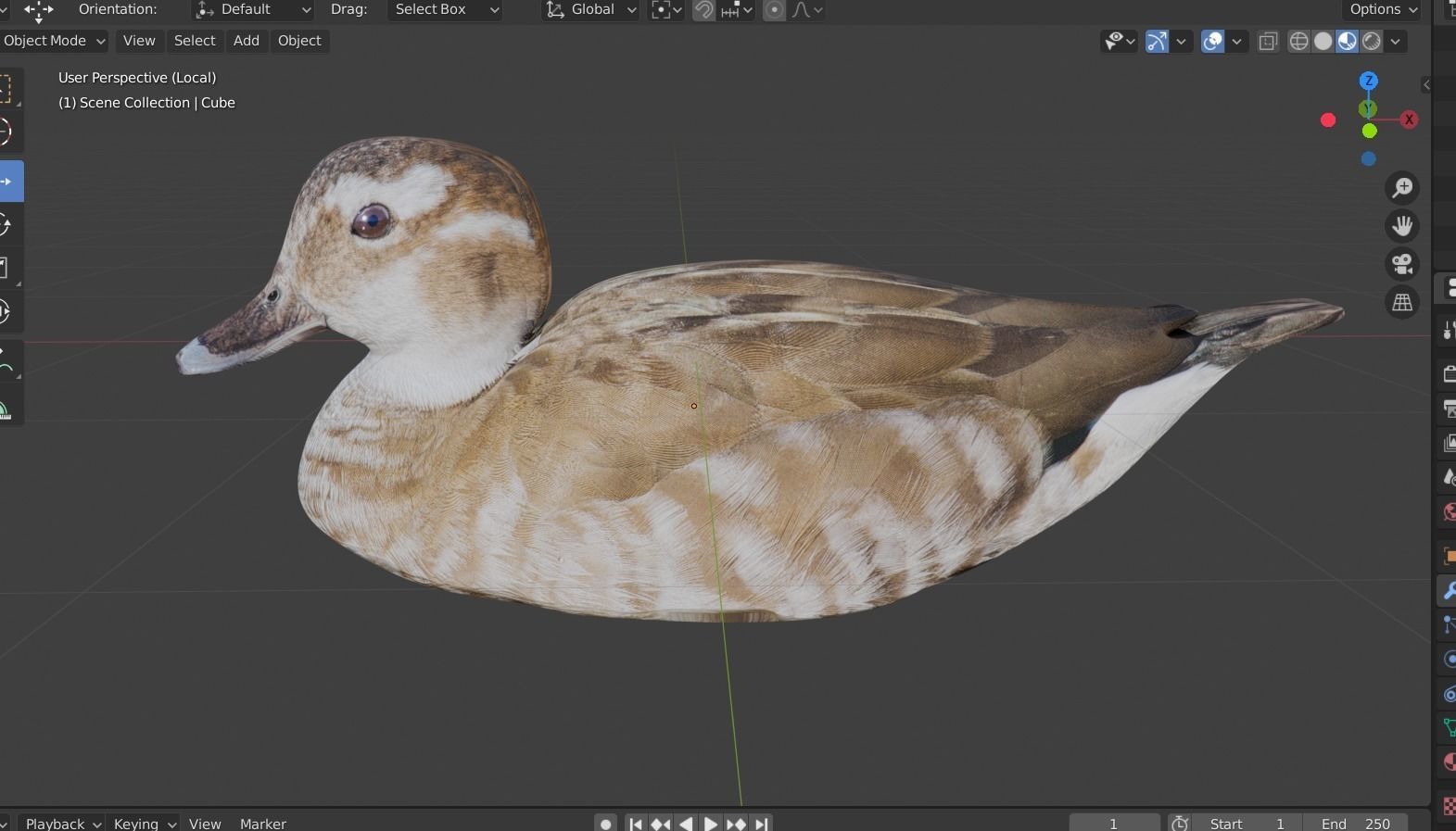 hunting duck Low-poly 3D model_13