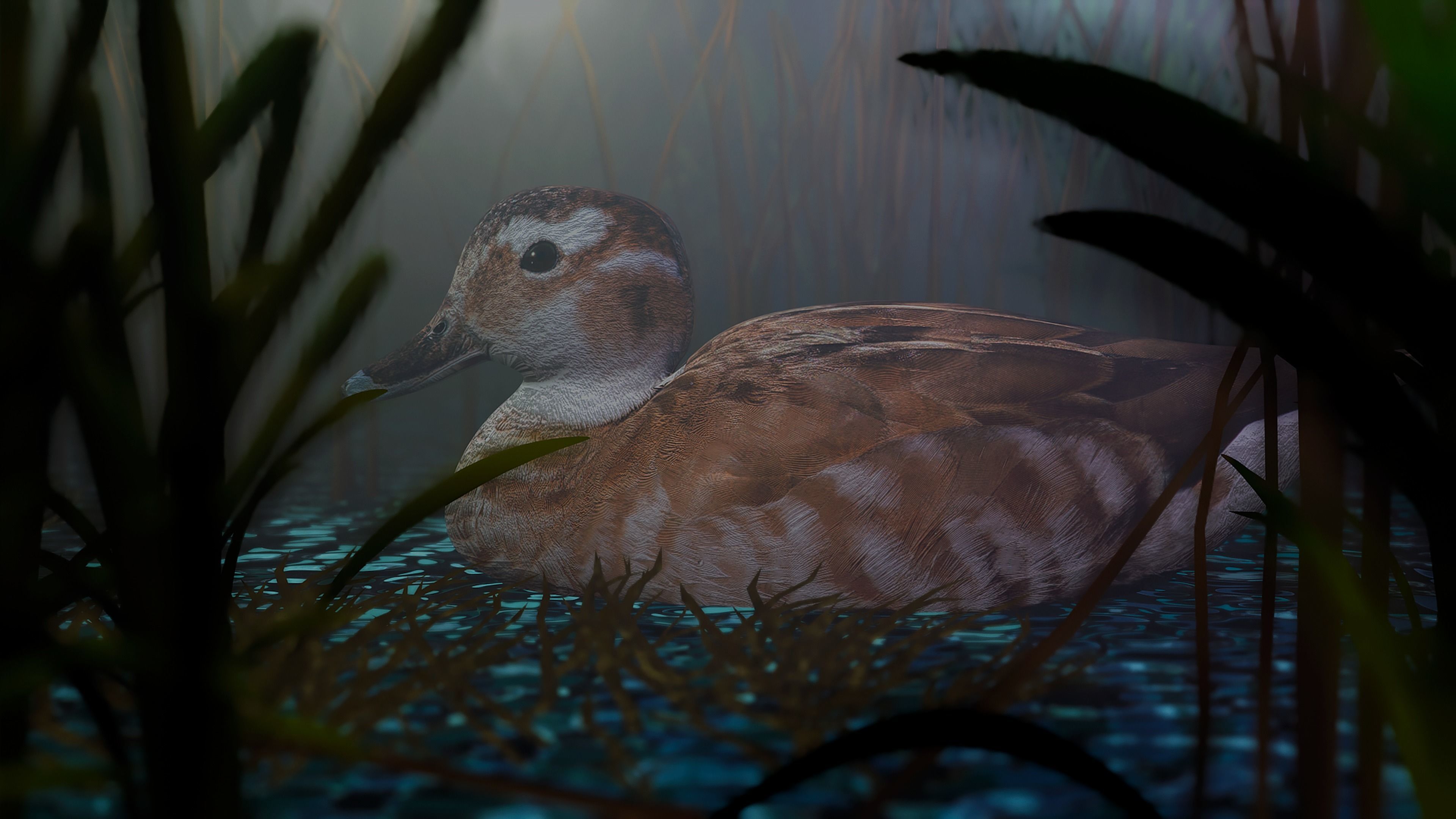 hunting duck Low-poly 3D model_10