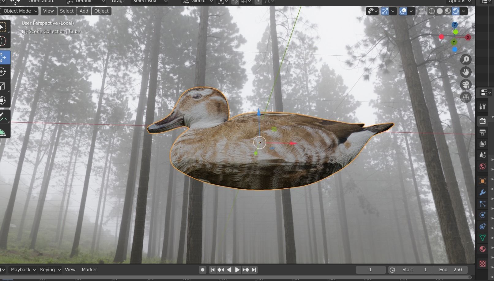 hunting duck Low-poly 3D model_16