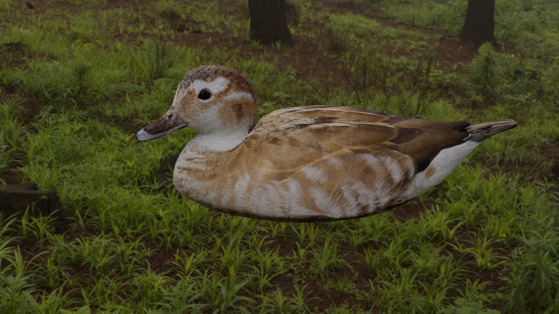 hunting duck Low-poly 3D model_5