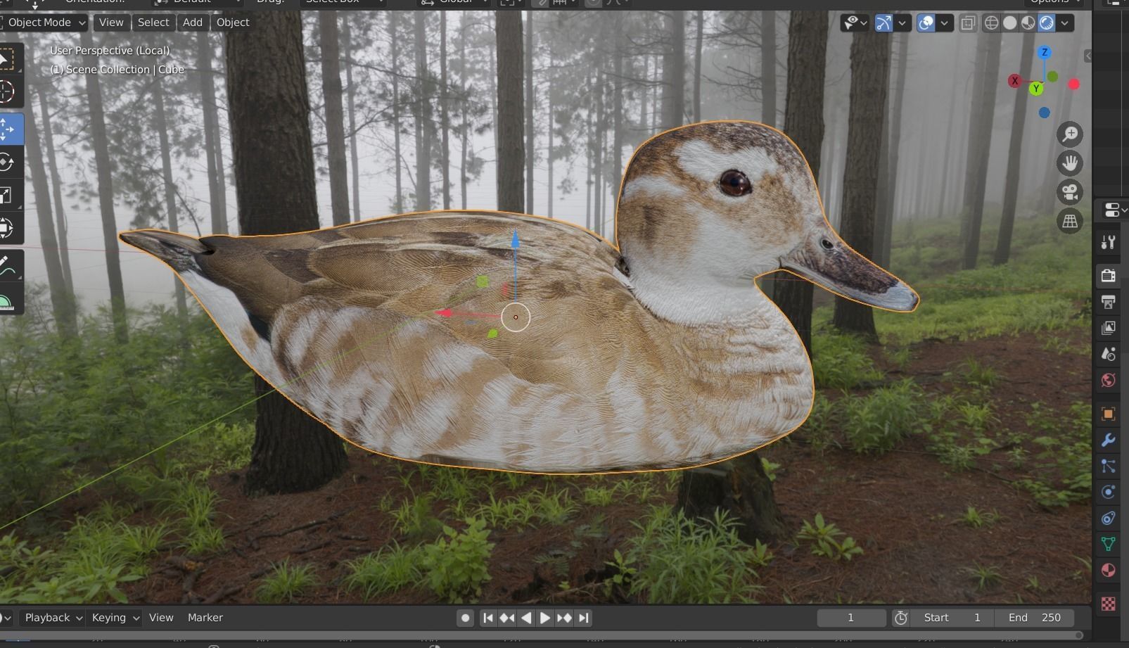 hunting duck Low-poly 3D model_1