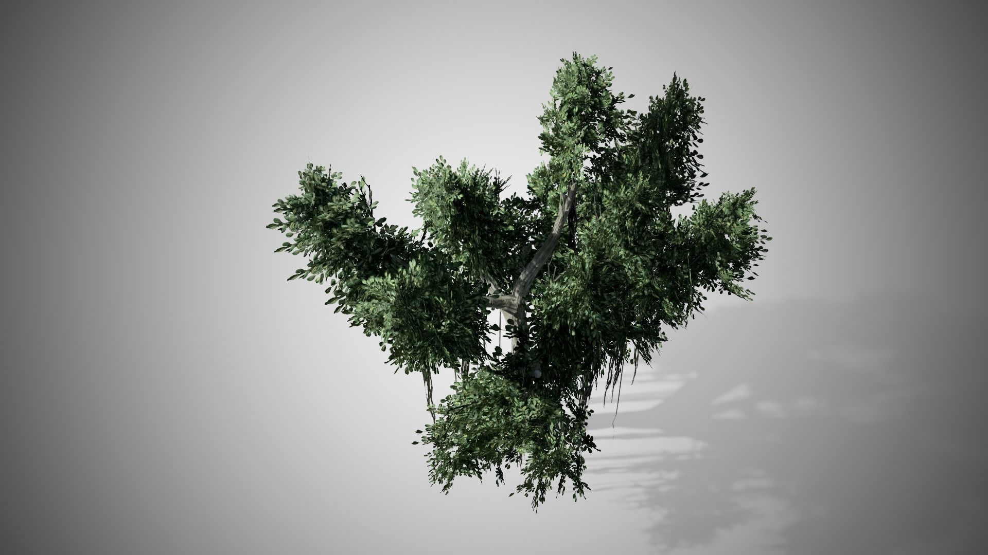 Chinese Banyan Tree Low-poly 3D model_2