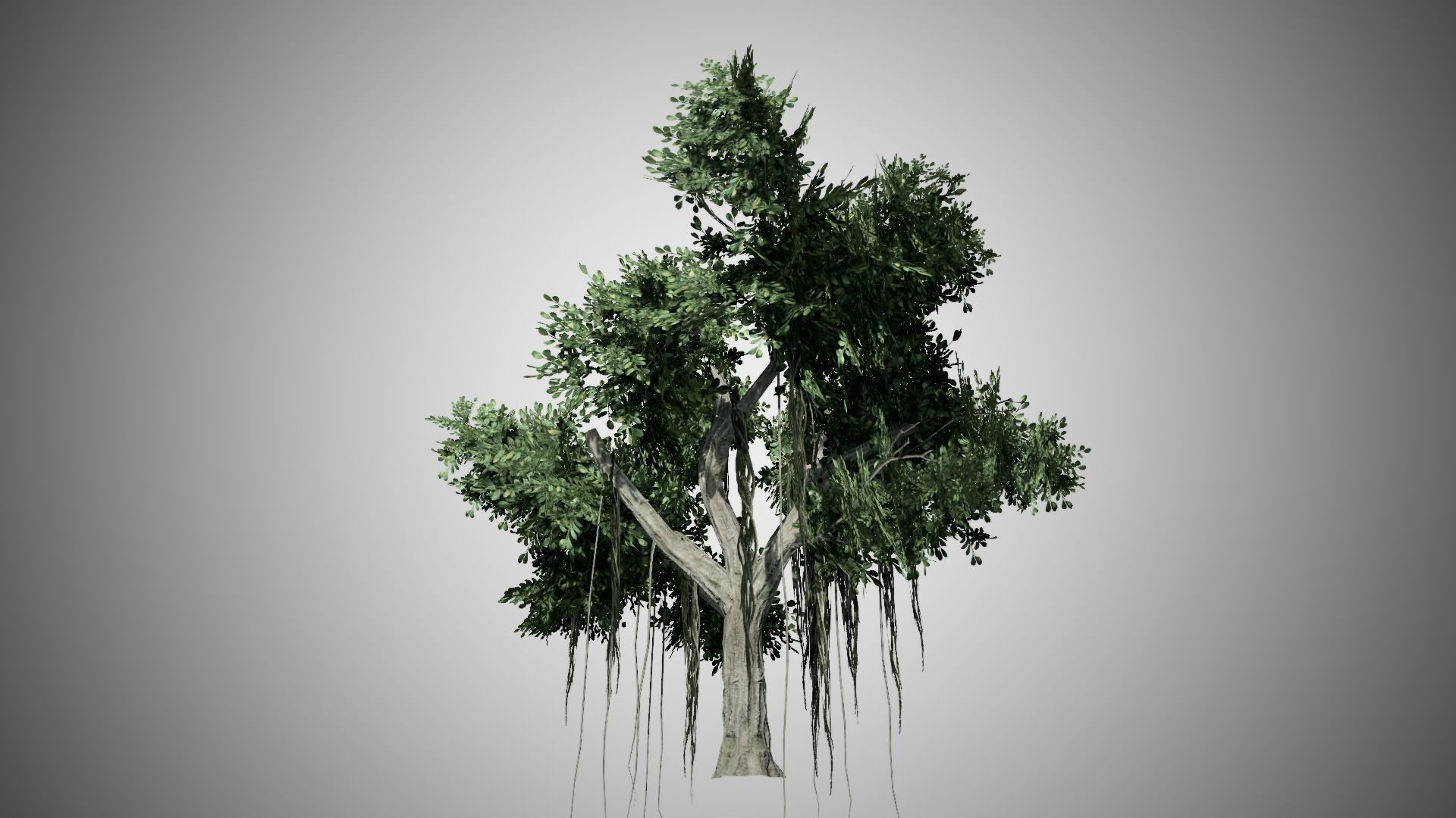 Chinese Banyan Tree Low-poly 3D model_3