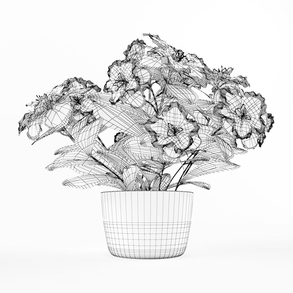 Azalea flowers in pot 3D model_6