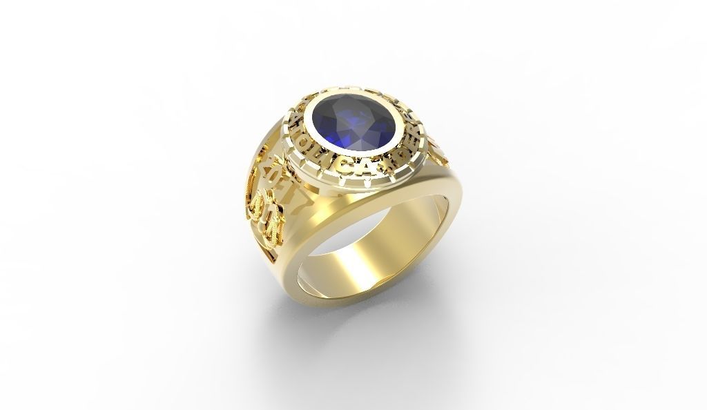 Anillo Grado 3D print model_10