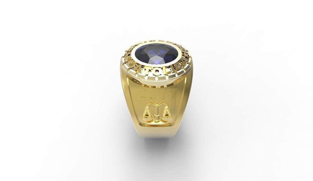 Anillo Grado 3D print model_8