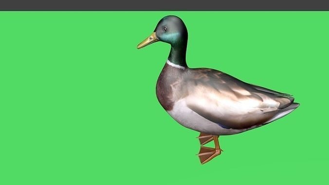 lowpoy  duck Low-poly 3D model