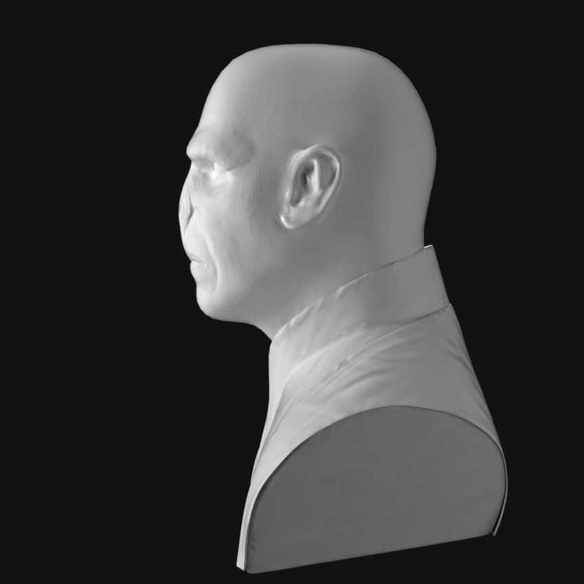 Voldemort Realistic Model bust of man 3D model_5
