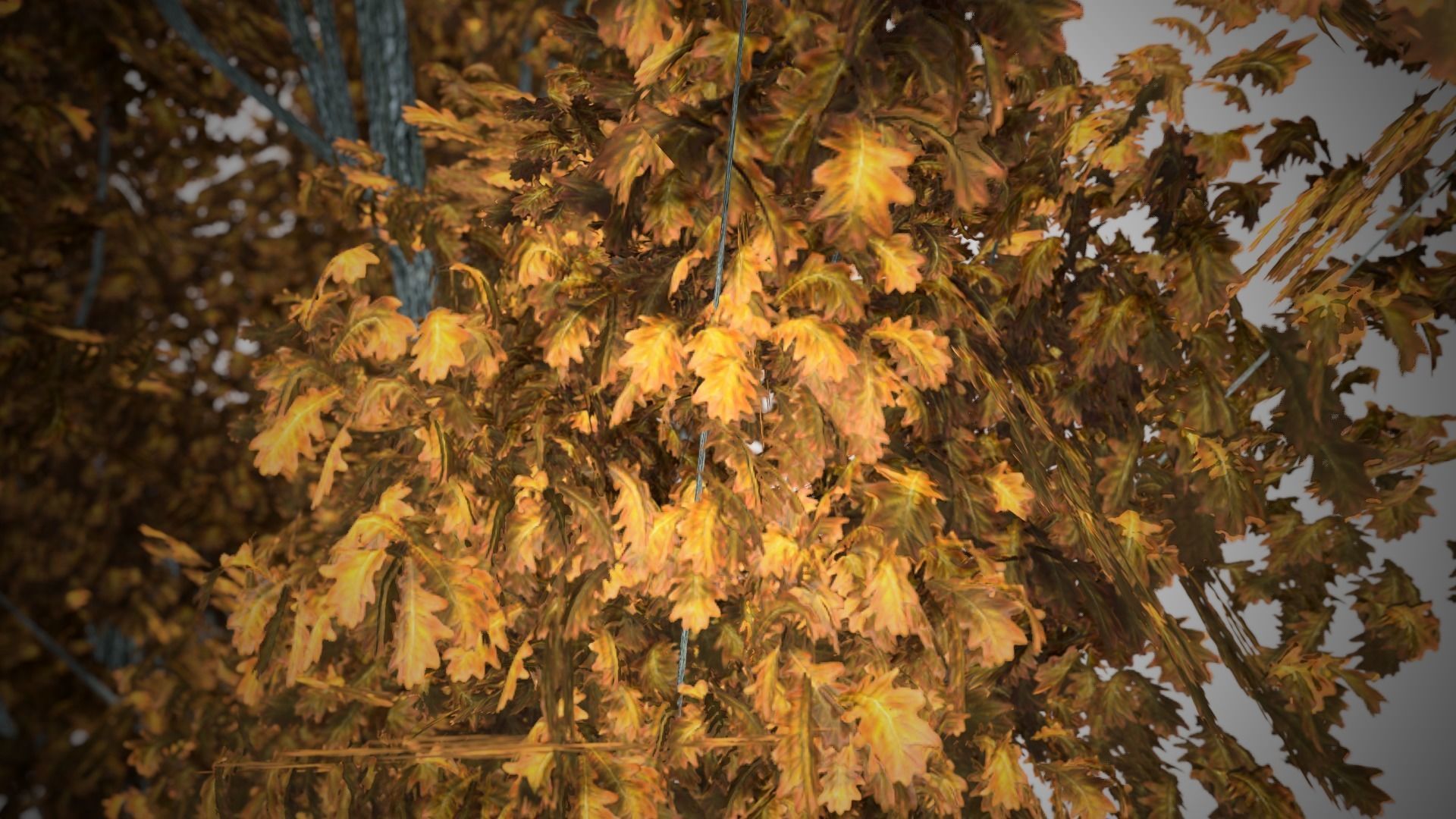 Cypress Oak Fall Tree Low-poly 3D model_4